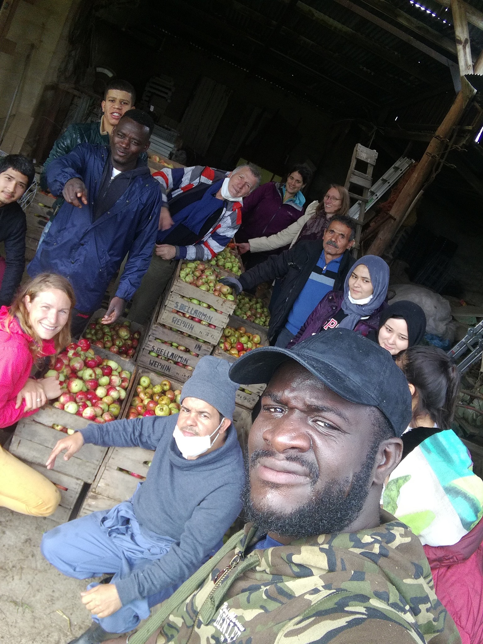 Récoltes collectives, ateliers presse et fête de la Pomme !