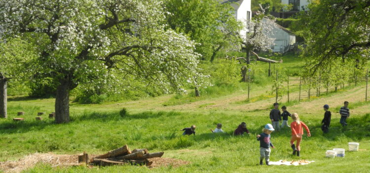 Des jardins dans les écoles : un outil multifacettes ! Des jardins dans les écoles : un outil multifacettes !