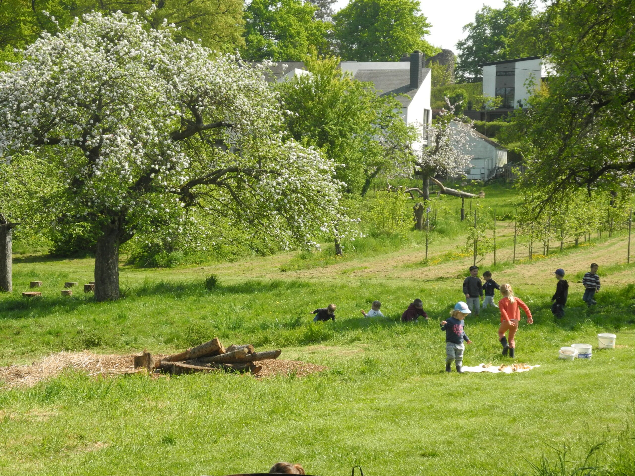 Des jardins dans les écoles : un outil multifacettes !