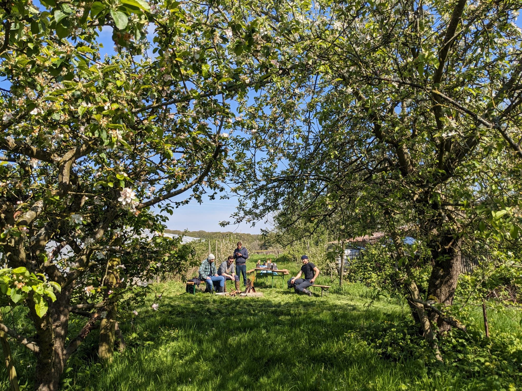 Teambuilding, pourquoi le penser « slow » ?