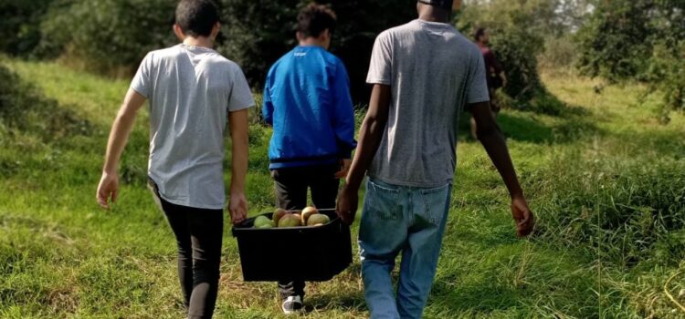 Appel à candidature : animateur.trice nature