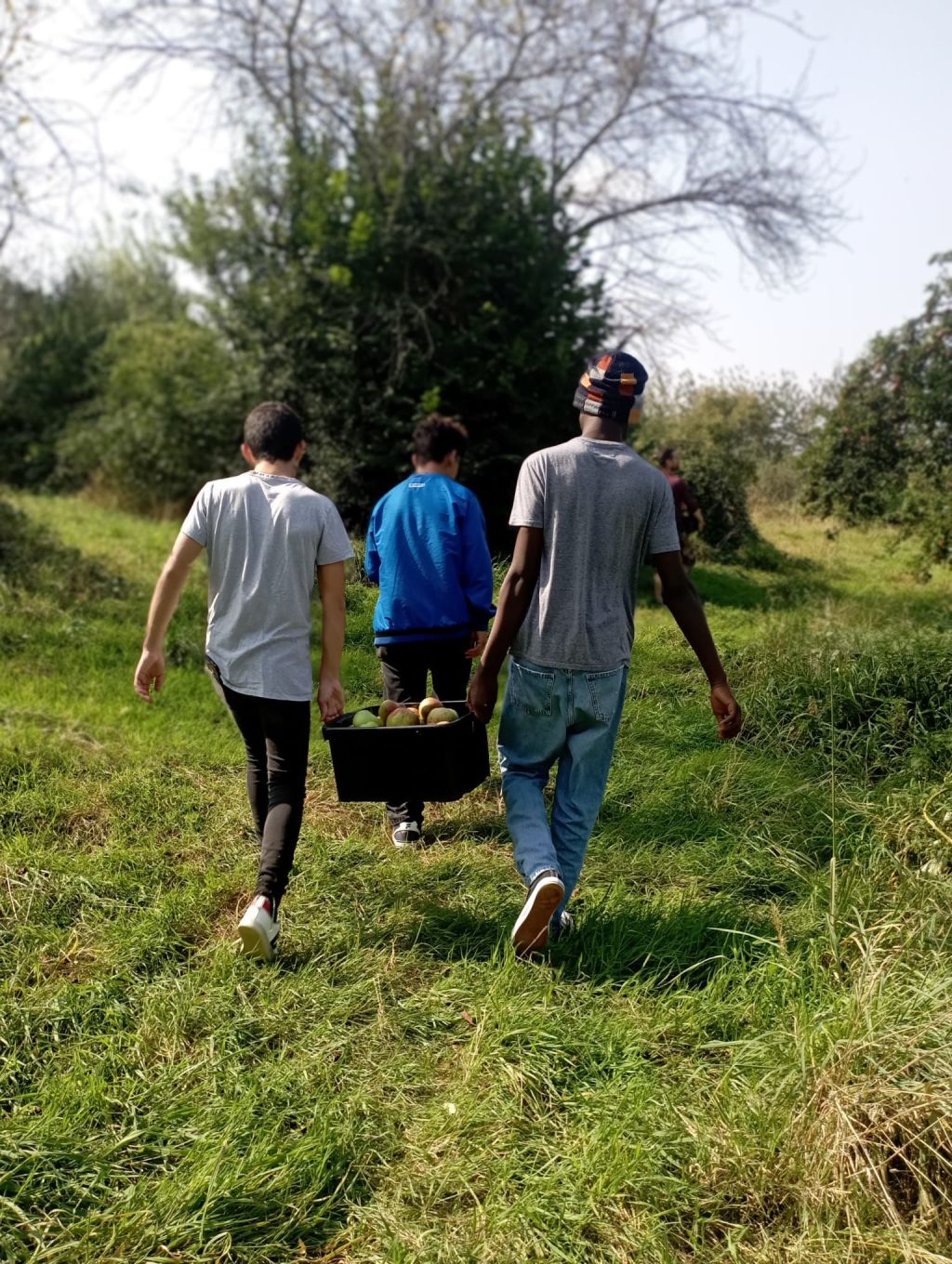 Appel Ă candidature : animateur.trice nature