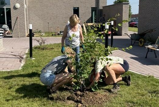 Un jardin de soin au CHR Sambreville Un jardin de soin au CHR Sambreville