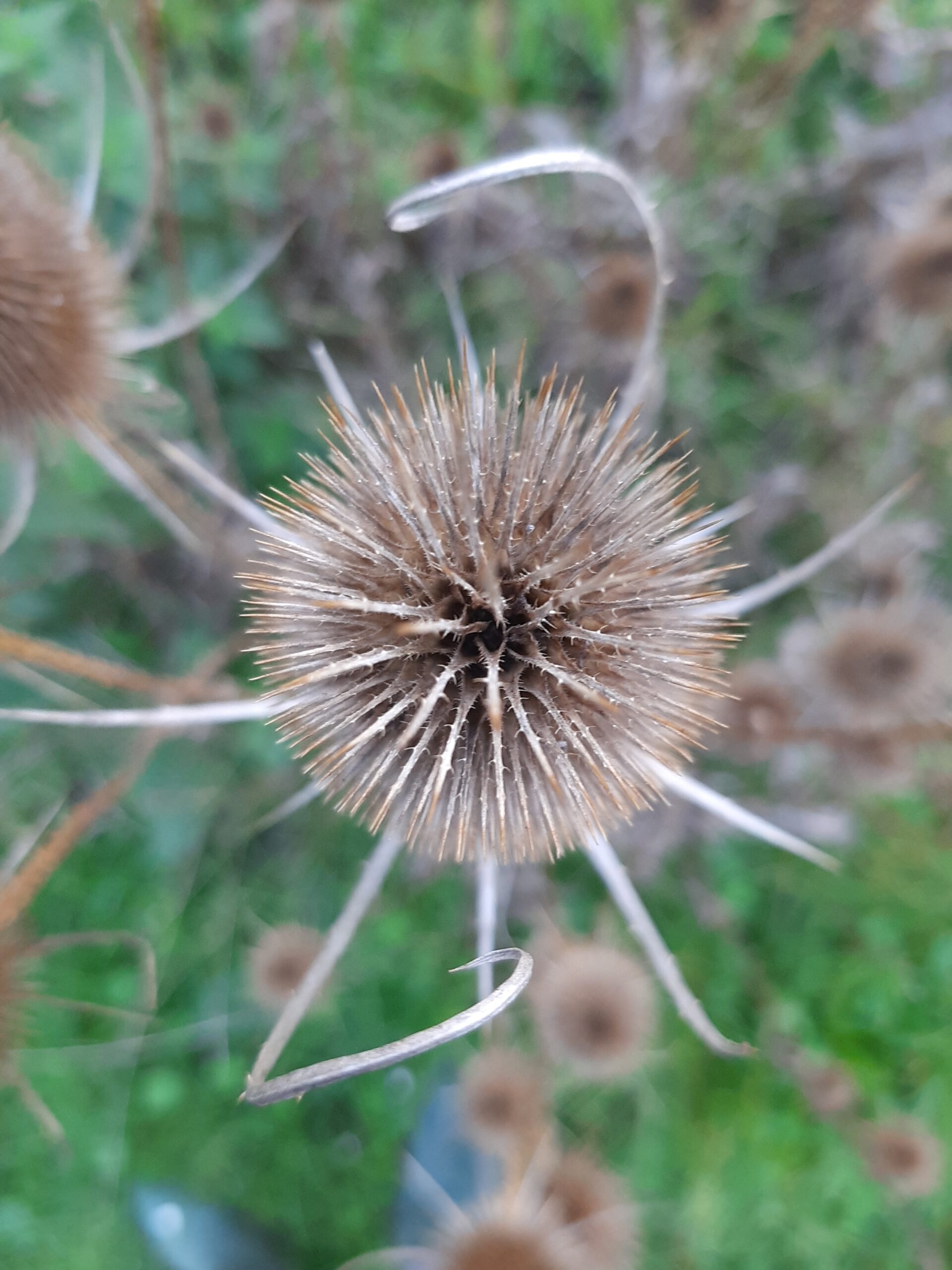 Explorer la nature pour cultiver sa santé