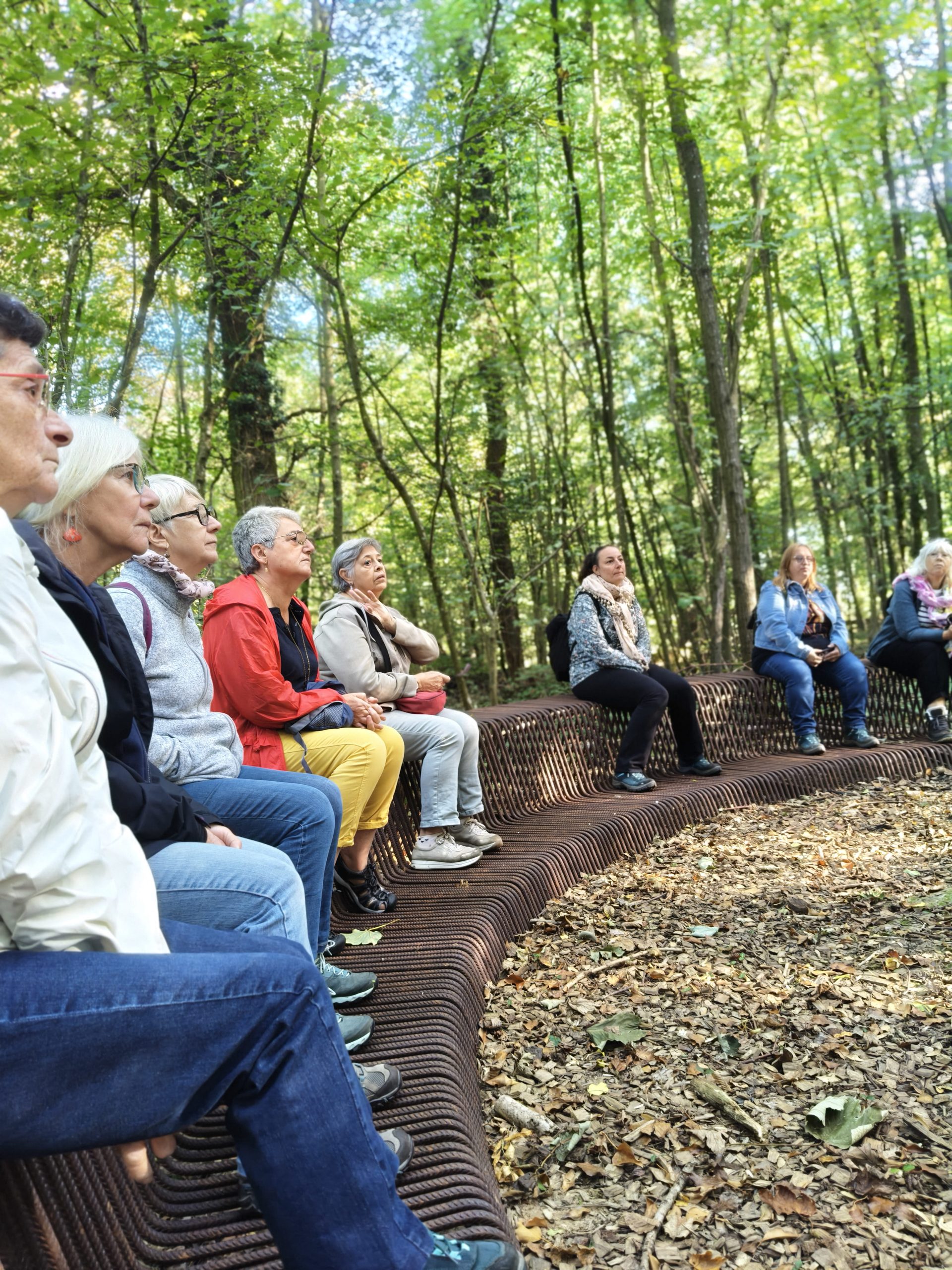 Sur les traces de Bruno le blaireau