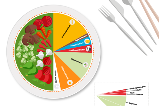 Alimentation, santé et environnement